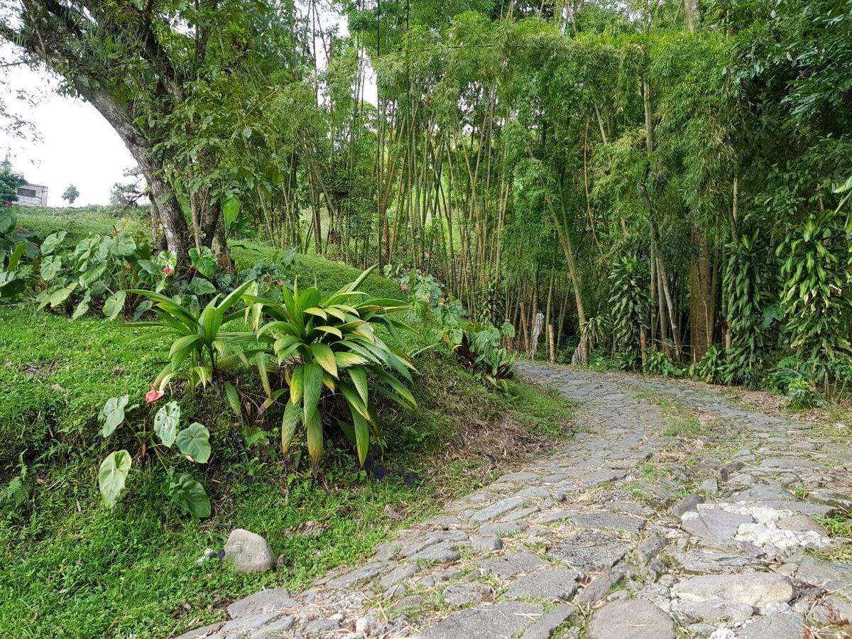 Lodge Paraiso Verde La Linda Exteriér fotografie
